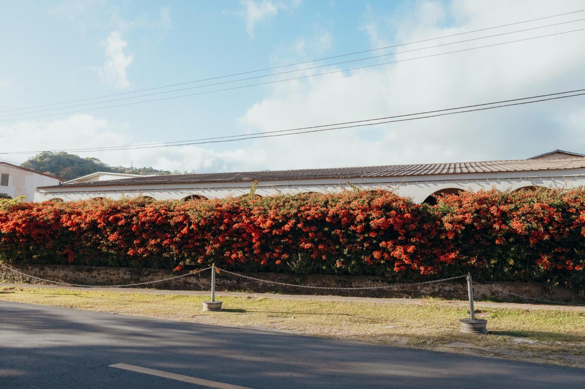 Hotel Boutique Rebequet Boquete Exterior foto